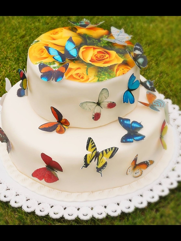 Motýlkový dort